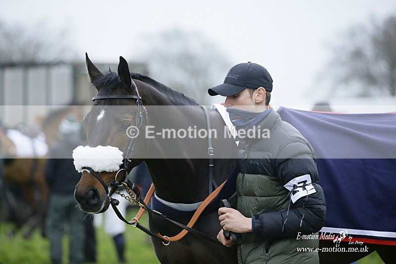 PtP 200222 650 - Countryside Alliance PtP Badbury Rings 20/02/22