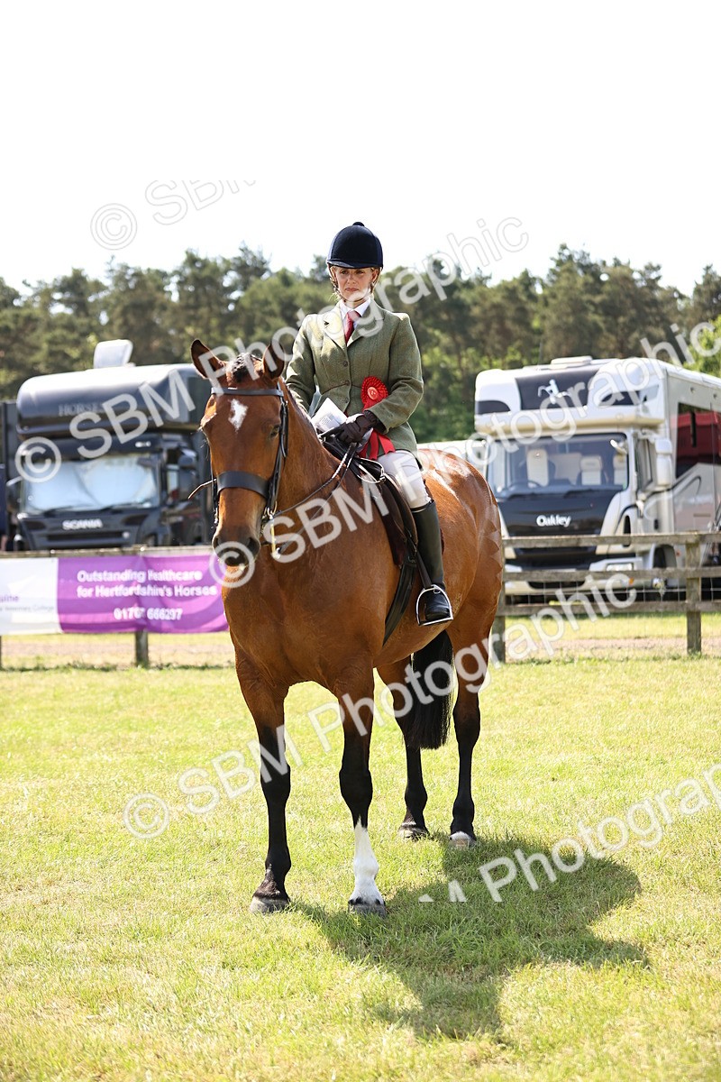 SBM_15234 - Class 79-80 - LIHS BSHA Rising Star Ridden Hunter