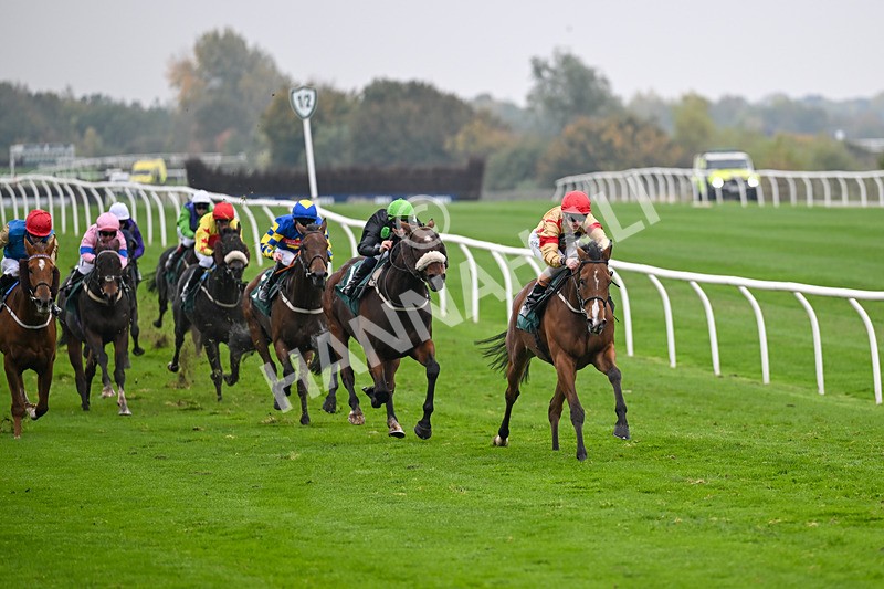 181025-Race 6-U Sure Do-0994 - Race 6