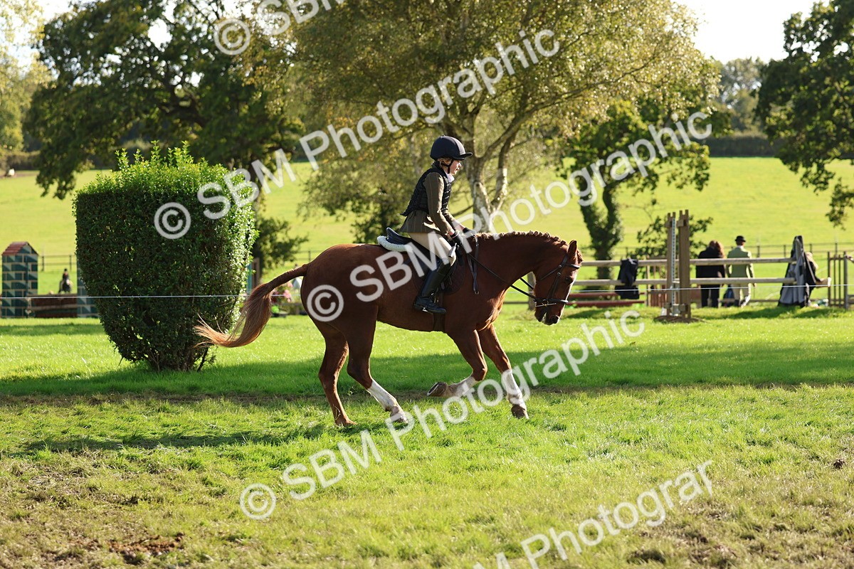 SBM_52417 - S13 - Pony Club Pony