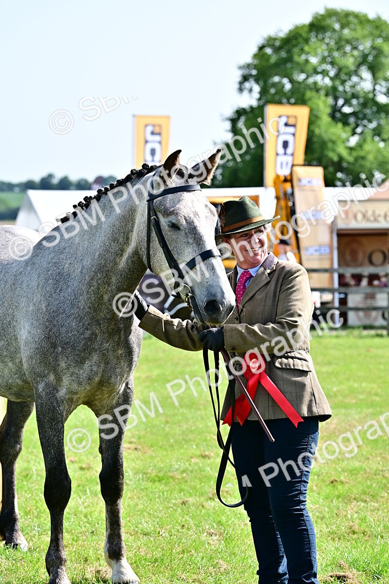 SBM_03348 - Class 50 - 54 Light Horse Breeding