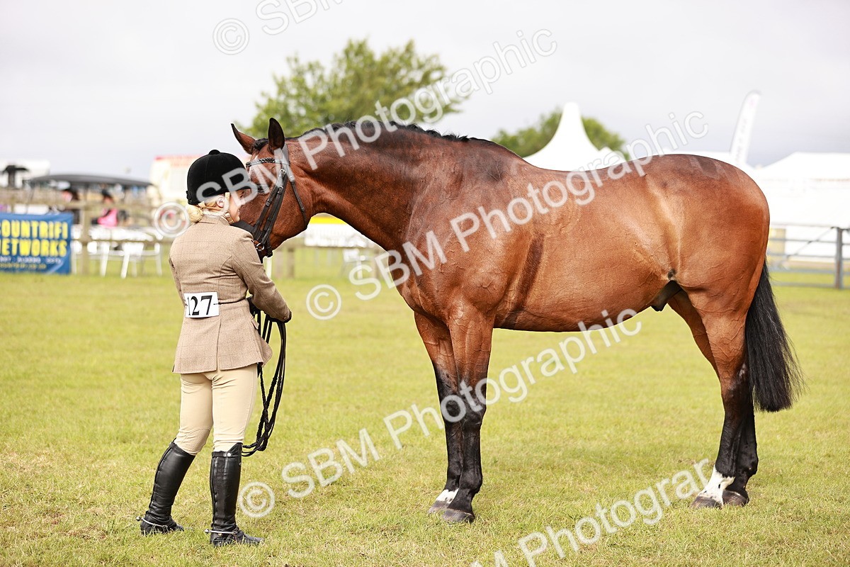 SBM_10882 - Class 81-84 - RIHS Ridden hunters Inc Ladies Hunter