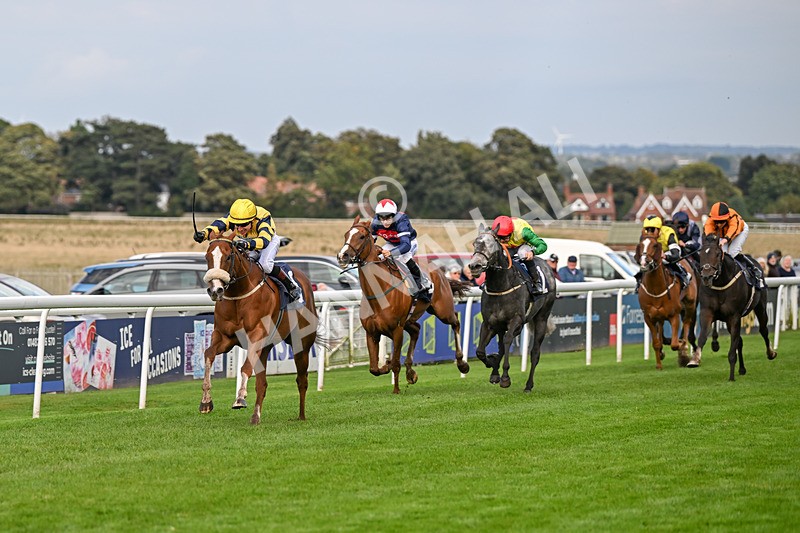 240924-Race 6-Captain Corelli-6684 - Race 6