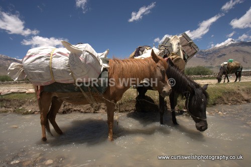 46 - LADAKH - INDIA