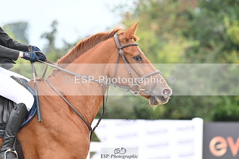 250920-104730-00247 - Cls 22+23 Club and Schools 70cm