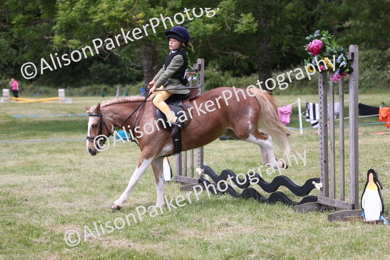 20260614-2048 - Class 21 - Novice Working Hunter Pony