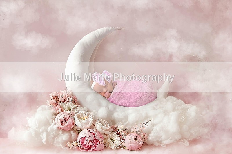 DSC_9478pinkmoon - Mary-Lou