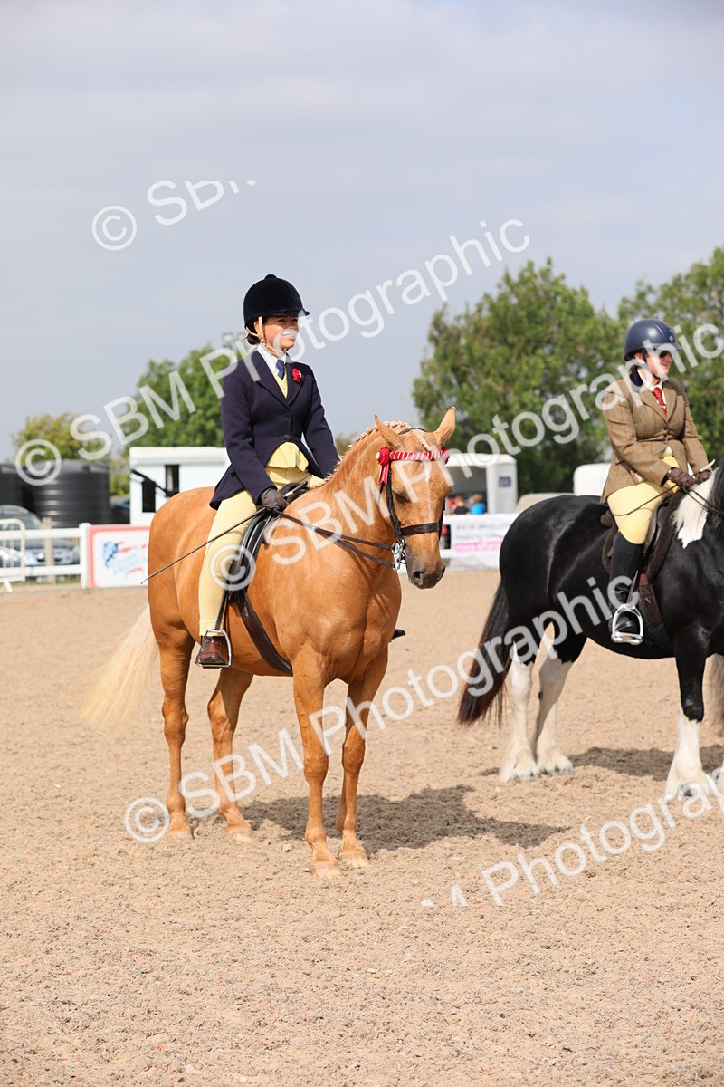 SBM_12832 - Class 307 Ridden Coloured Pony
