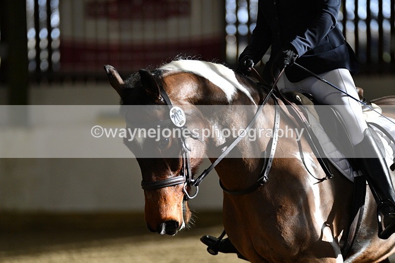 WJ5_2117 - Time 11:12 to 11:55