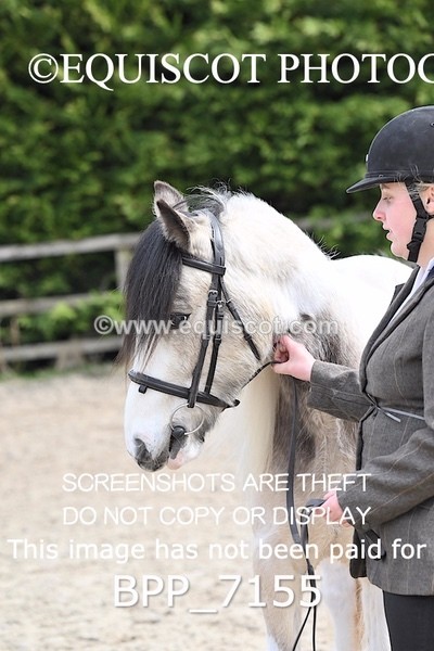 BPP_7155 - RING 1  (RIDDEN HORSES / IN HAND / VETERAN ETC)