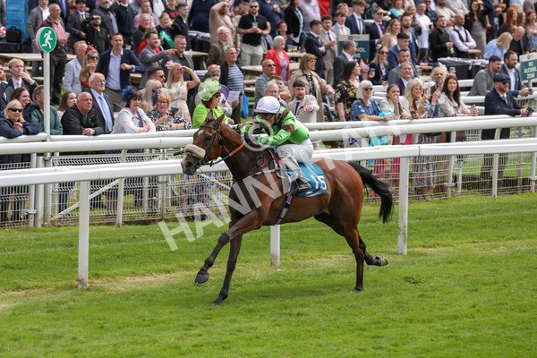 140624-Race 1-Tolstoy-5503 - Race 1 1.50pm Andy Thornton Hospitality Furniture Apprentice Handicap