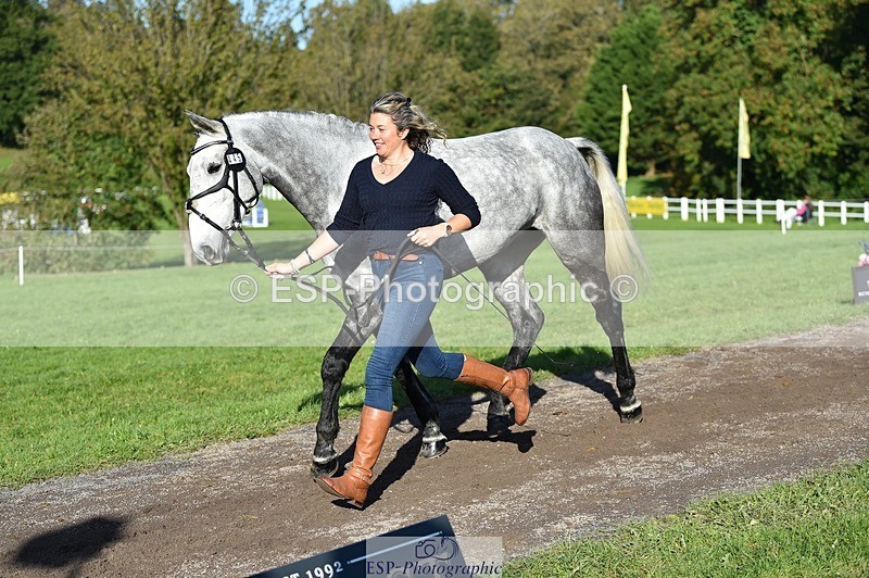 231022-104024-22656 - 445-CRUISING.BORO-Lucy.Knight-TrotUp+SJ