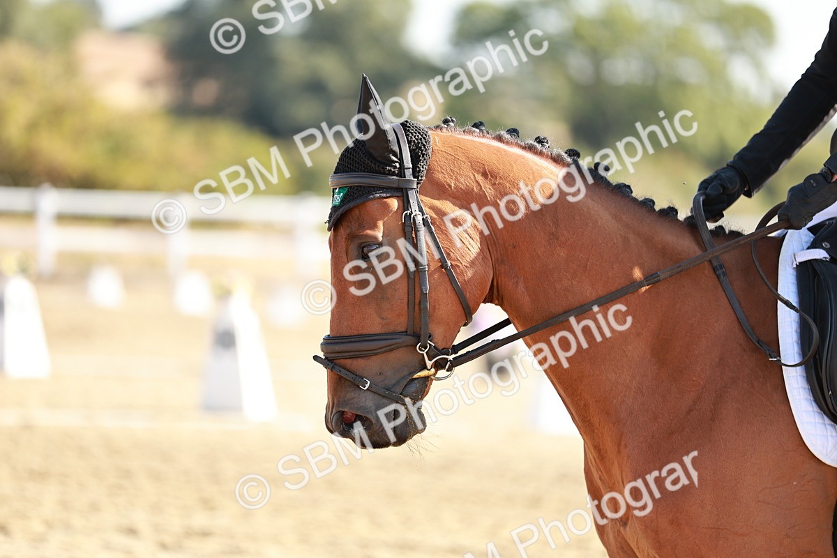 SBM_016979 - Class 10 - N5 Silver 9.33.10.29