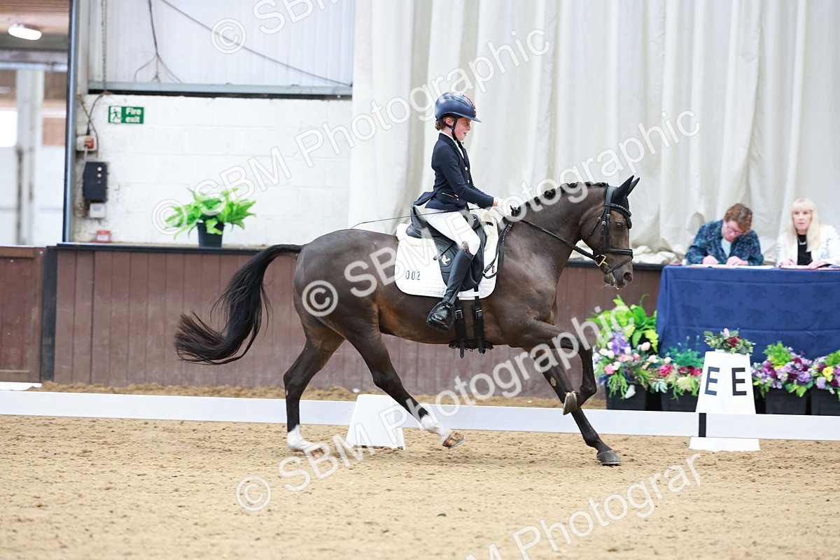 SBM_017113 - Class15 - FEI Pony