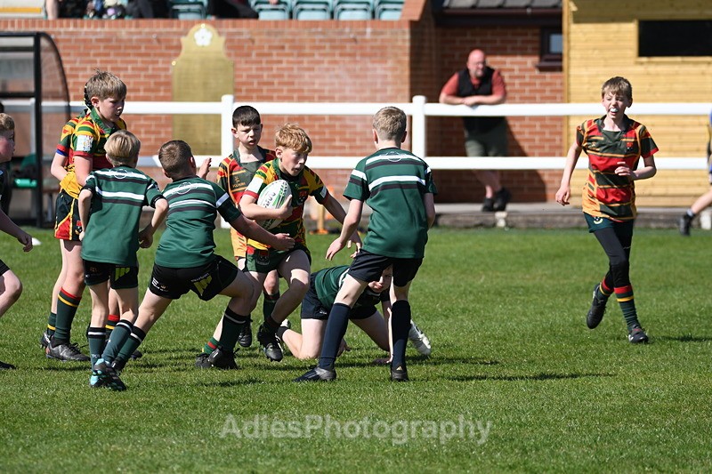  - Selby Rugby Festival 2025