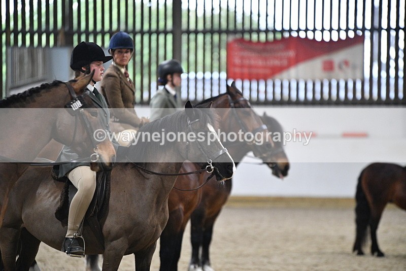 WJ5_8542 - Class 14 Novice Ridden/Rider