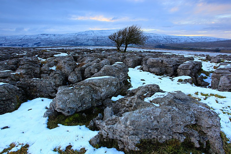 Limestone Pavement with whernside in the background.    ref 9303 - The Pennines and Cumbria