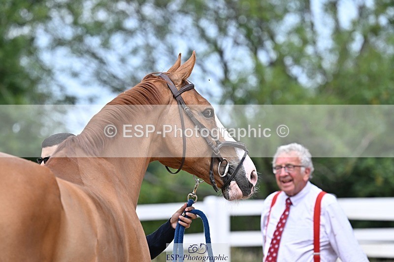 250716-130147-00268 - Trot Up 12.30 to 1.30