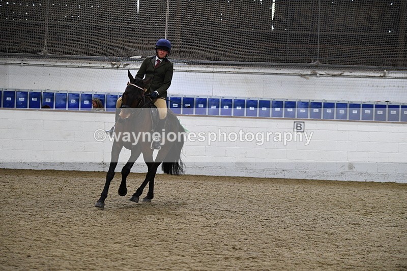 WJ5_8024 - Class 13 Ridden Part Breed