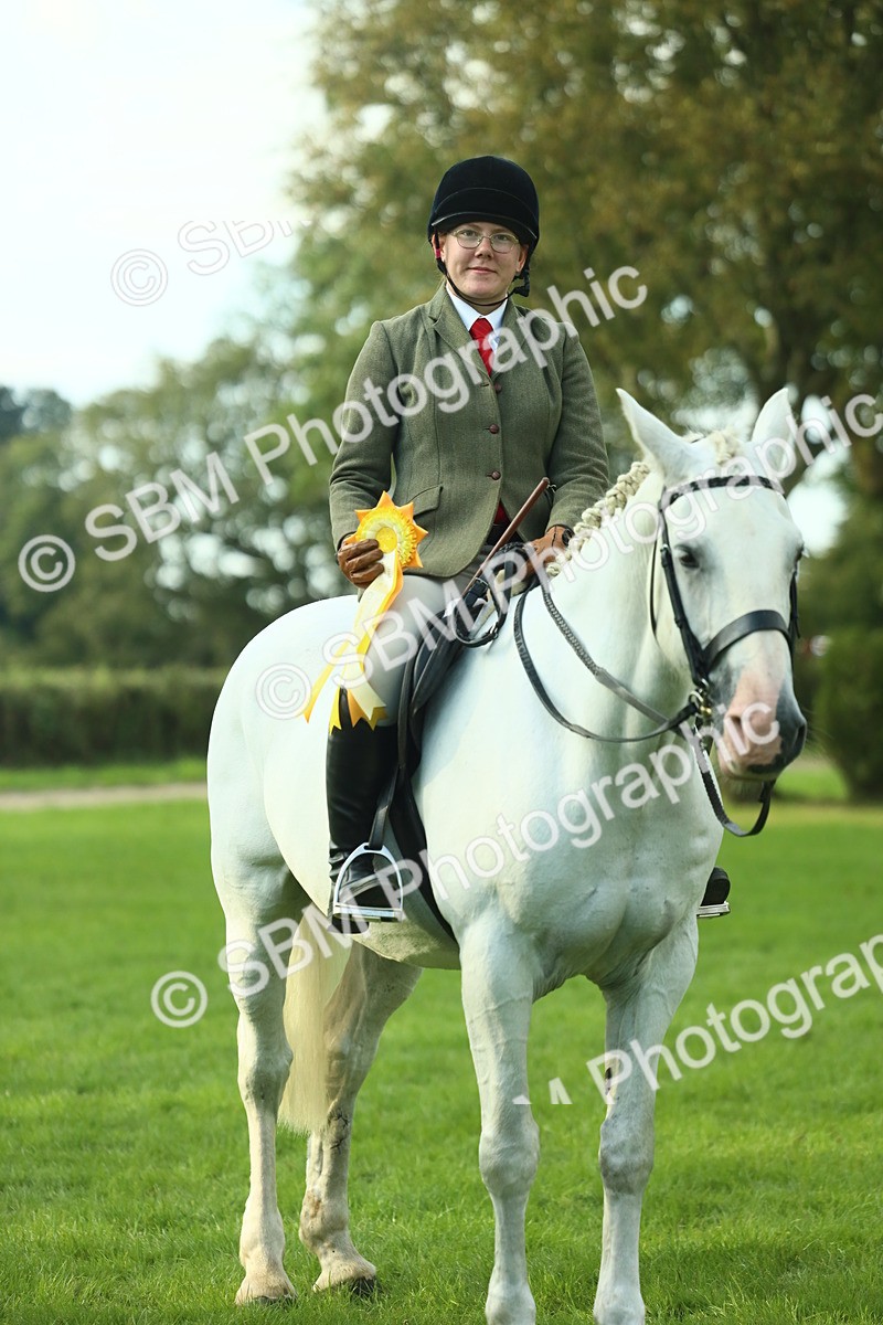 SBM_52237 - S33 - Working Hunter & Working Show Horse