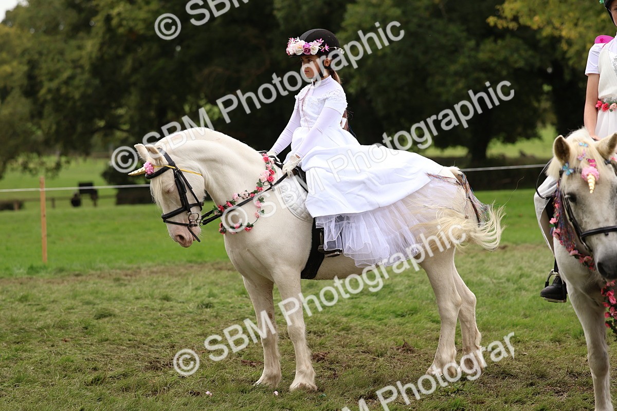 SBM_62204 - S37b - Best Unicorn
