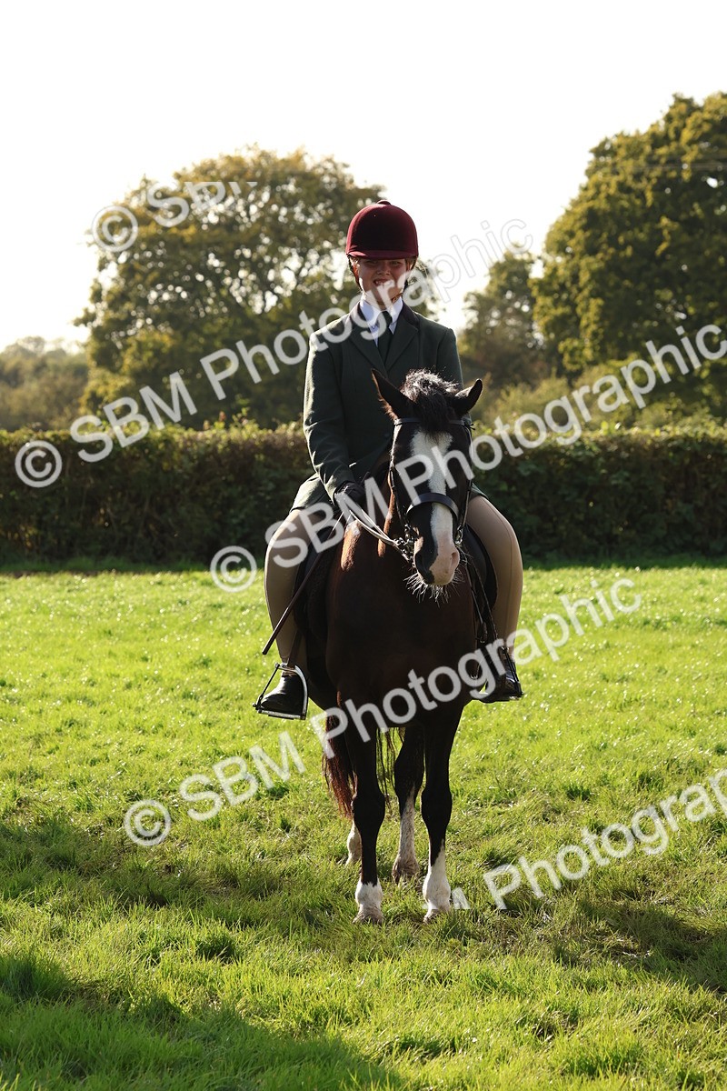 SBM_52628 - S13 - Pony Club Pony