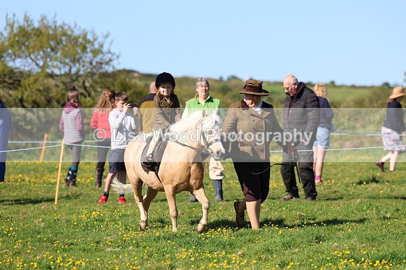 3E7A8731 - Class 2: Lead rein