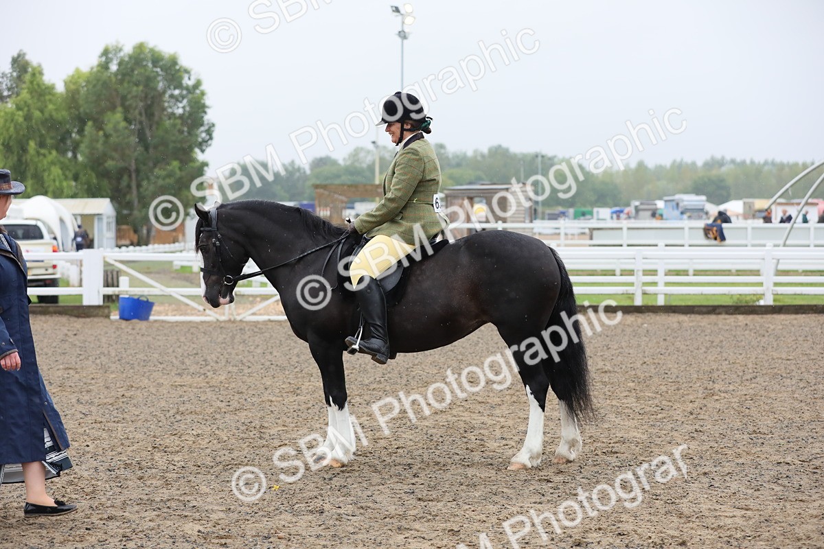SBM_20063 - Class 802 - Ridden Groom - Helpers class