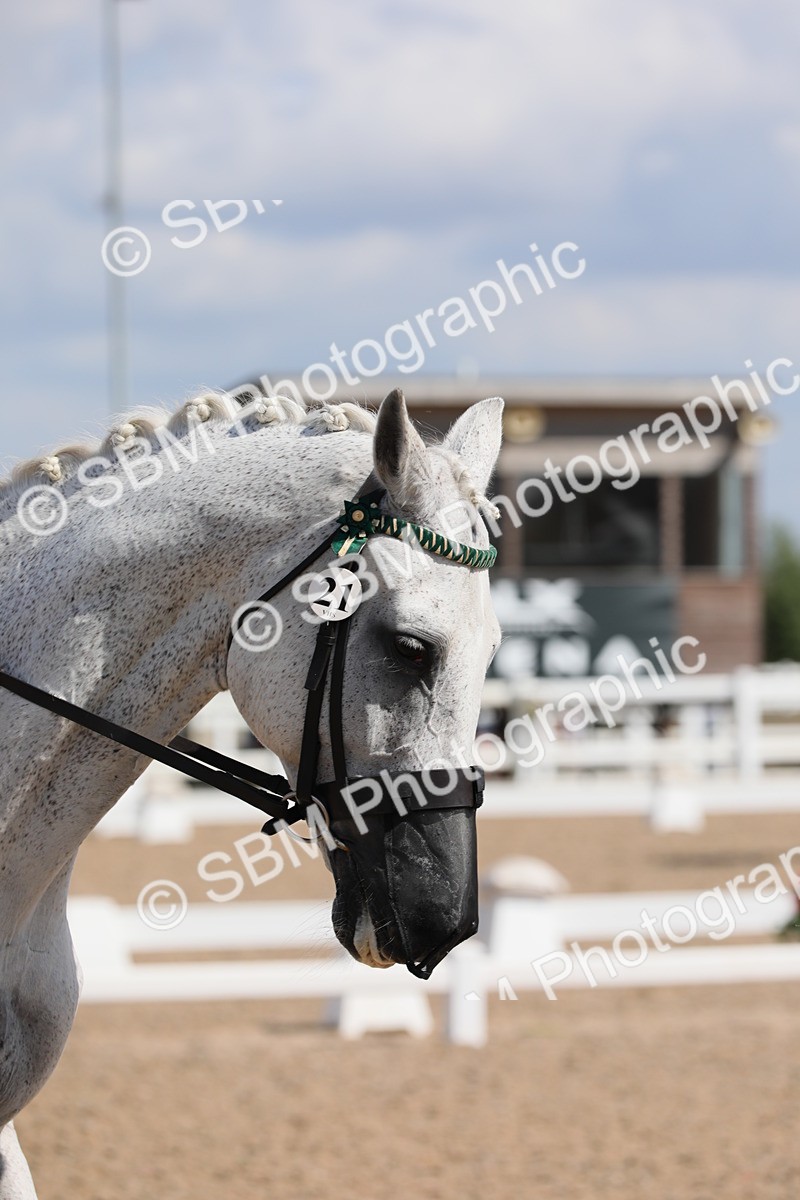 SBM_03914 - Class 31 Prelim 1