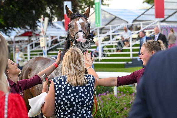 260724-Race 3-Elsies Ruan-5043 - Race 3 6.40pm Ire-Incentive, It Pays To Buy Irish EBF Restricted Novice Stakes
