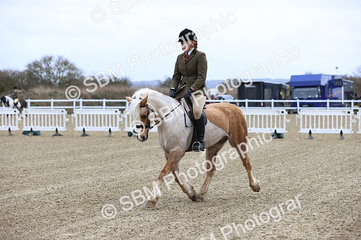SBM_006996 - Class 29 - 30 - M&M Pure Novice Small-Large Breeds