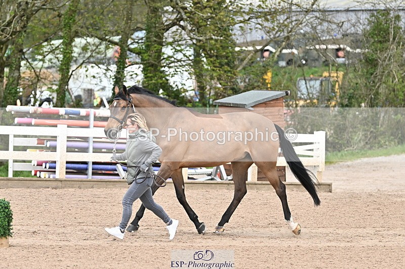 240417A-122211-00105 - 12pm to 1pm