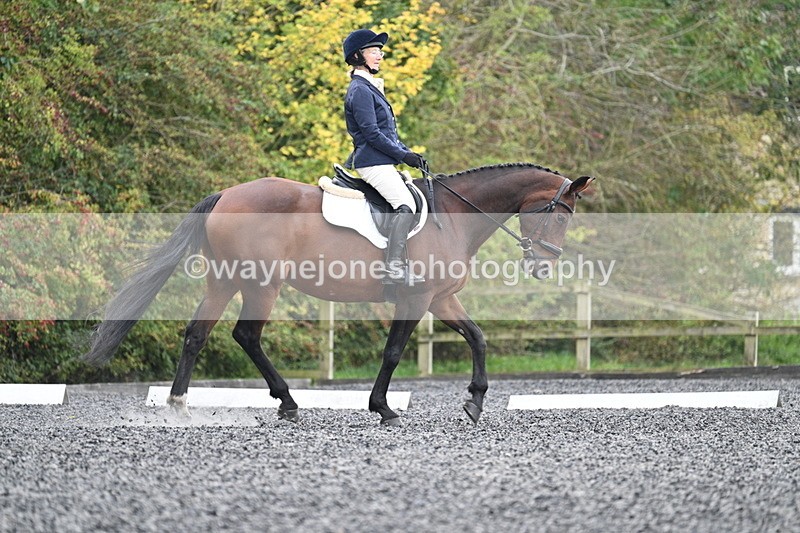 WJ7_4055 - Time 11:43 to 12:09