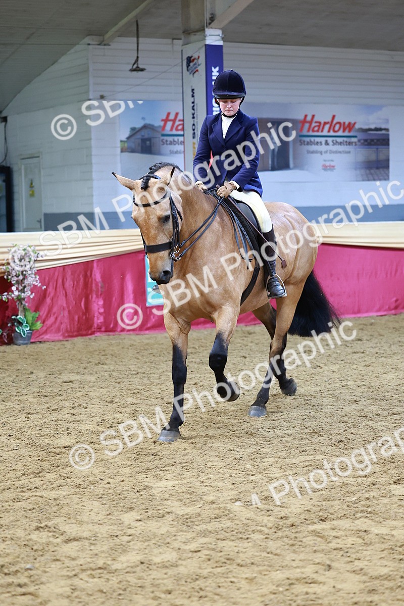 SBM_23403 - class 906 - Supreme Final - Ridden Pre Vet