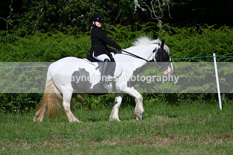 WJ7_0668 - Class 8 First Rally Pony