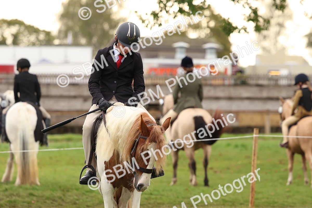 SBM_56699 - S40 - Starters Ridden Showing