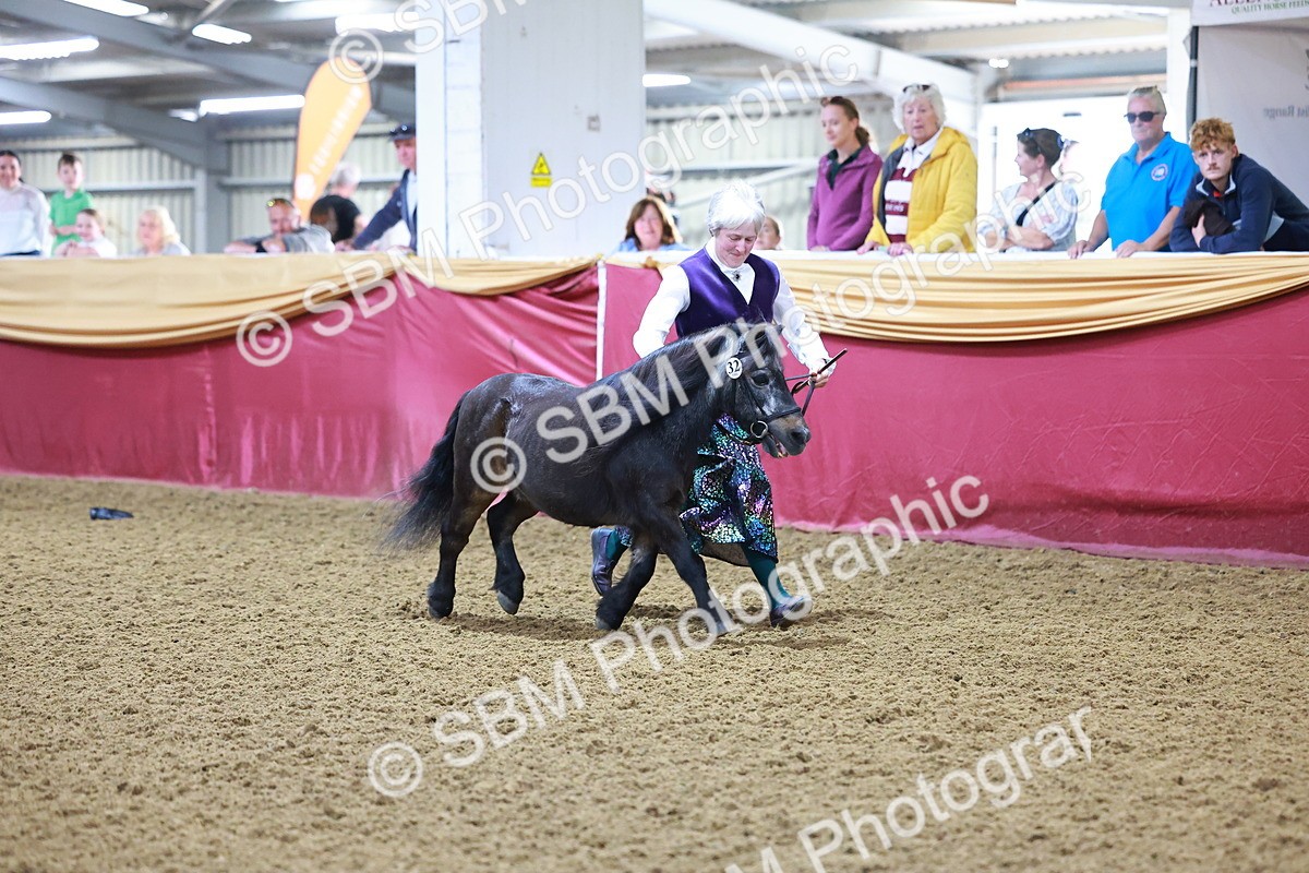 SBM_14704 - Class C - Novelty champ