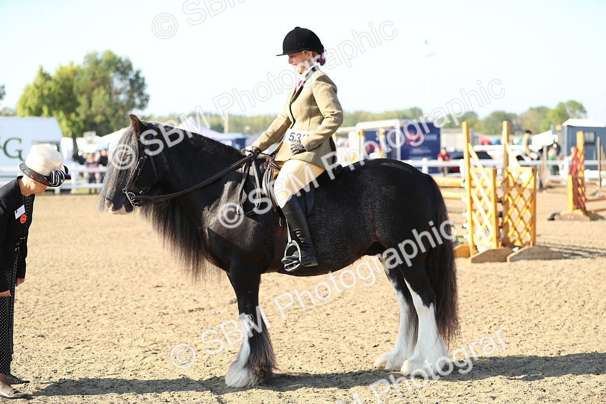 SBM_00418 - Class 41 Best Turned Out Ridden