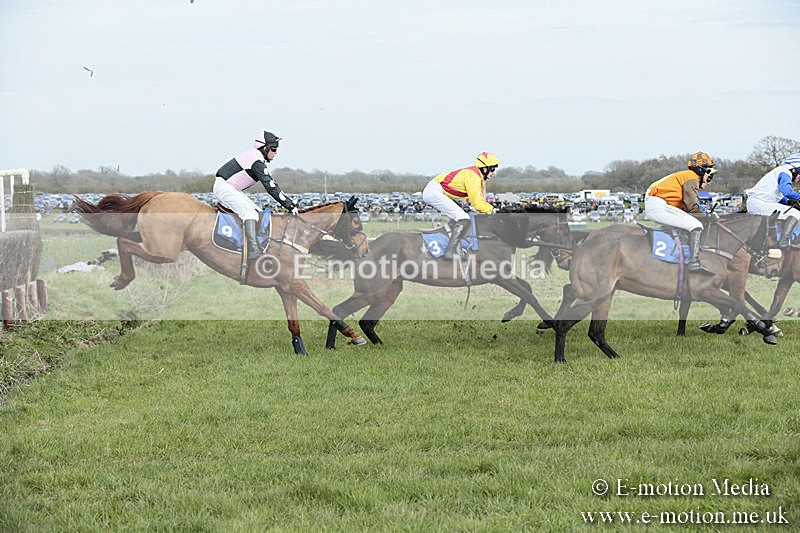 PtP 230319 265 - VWH Hunt Siddington Point-to-Point Racing 23/03/19