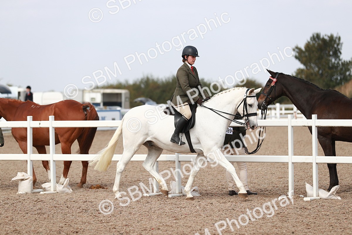 SBM_14809 - Class 212 Ridden Hunter - Small