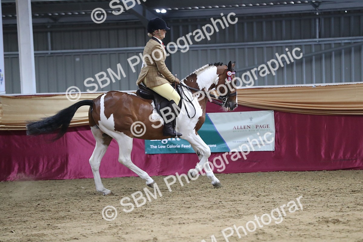 SBM_08440 - Class 11R Regional Ridden Veteran