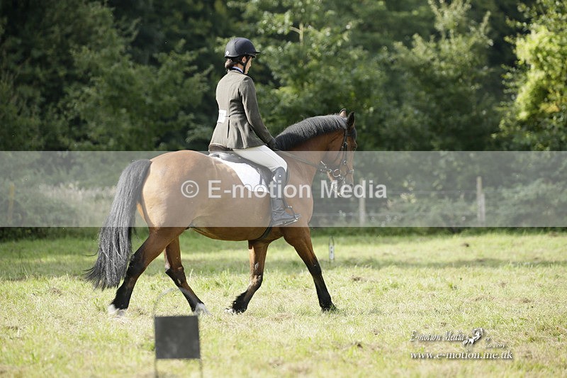 BVRC 120921 333 - Bourne Valley Riding Club UA Dressage & Show Jumping 12/09/21