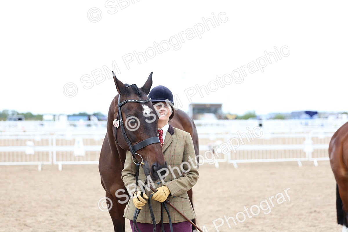 SBM_05069 - Class 27 - IH Competition Horse or Pony