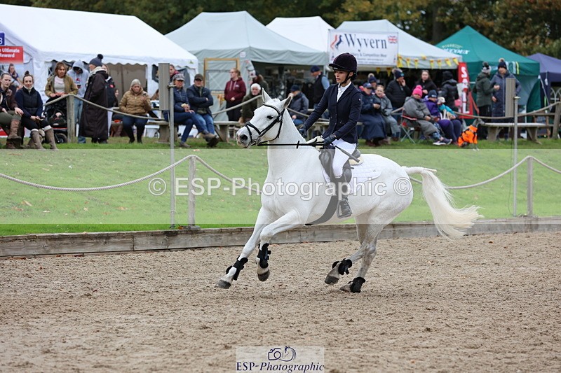 251026A-142306-26296 - F-479-Poppy.Wellman