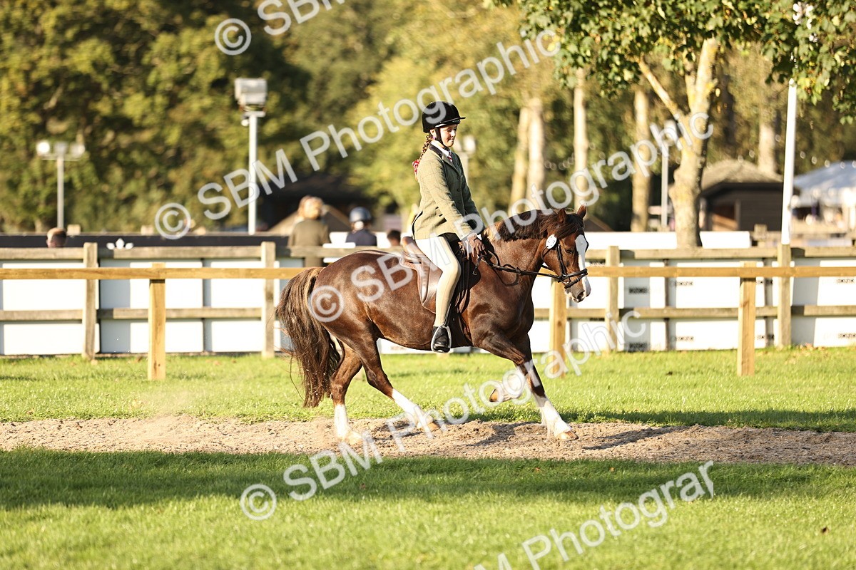 SBM_29604 - S7 - Novice & Newcomers Ridden Pony