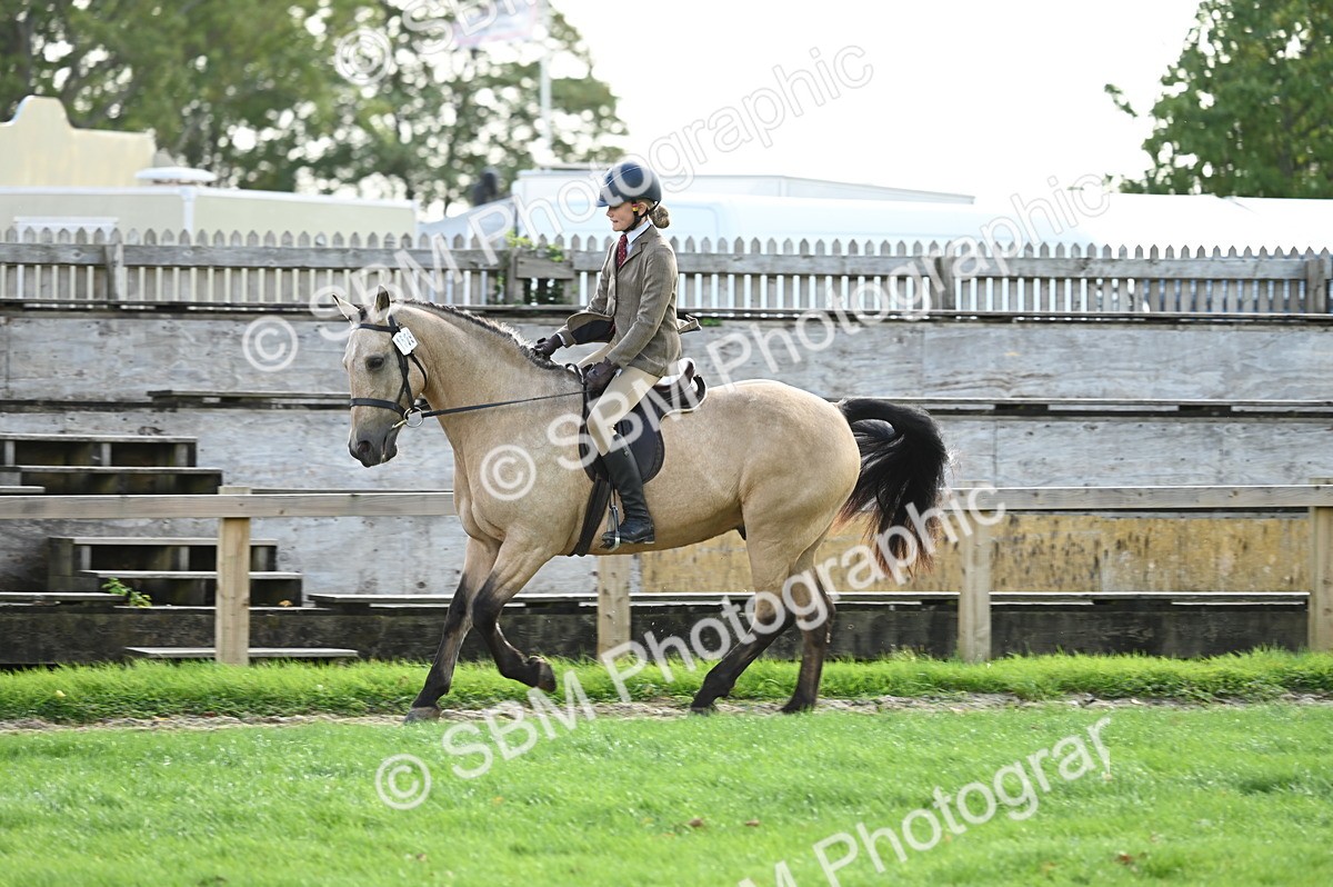 SBM_01886 - S2 - TSR Ridden Horse Showing