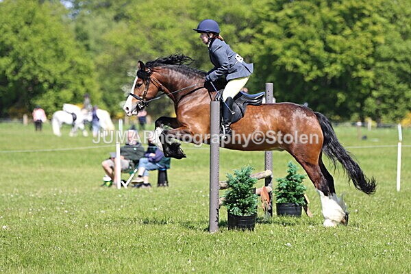IMG_4059 - Working Hunter