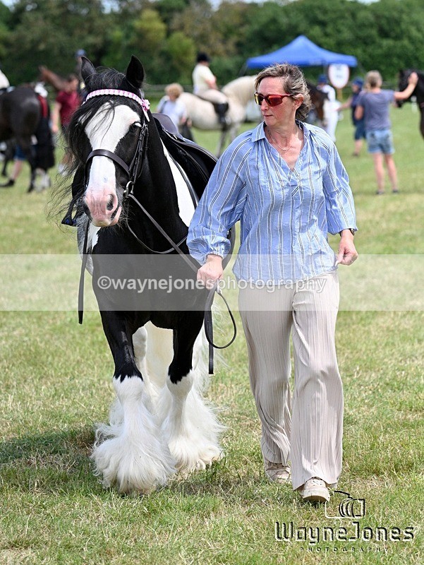 WJ7_8011 - Nancy And Churchill SORC summer show 21-06-26