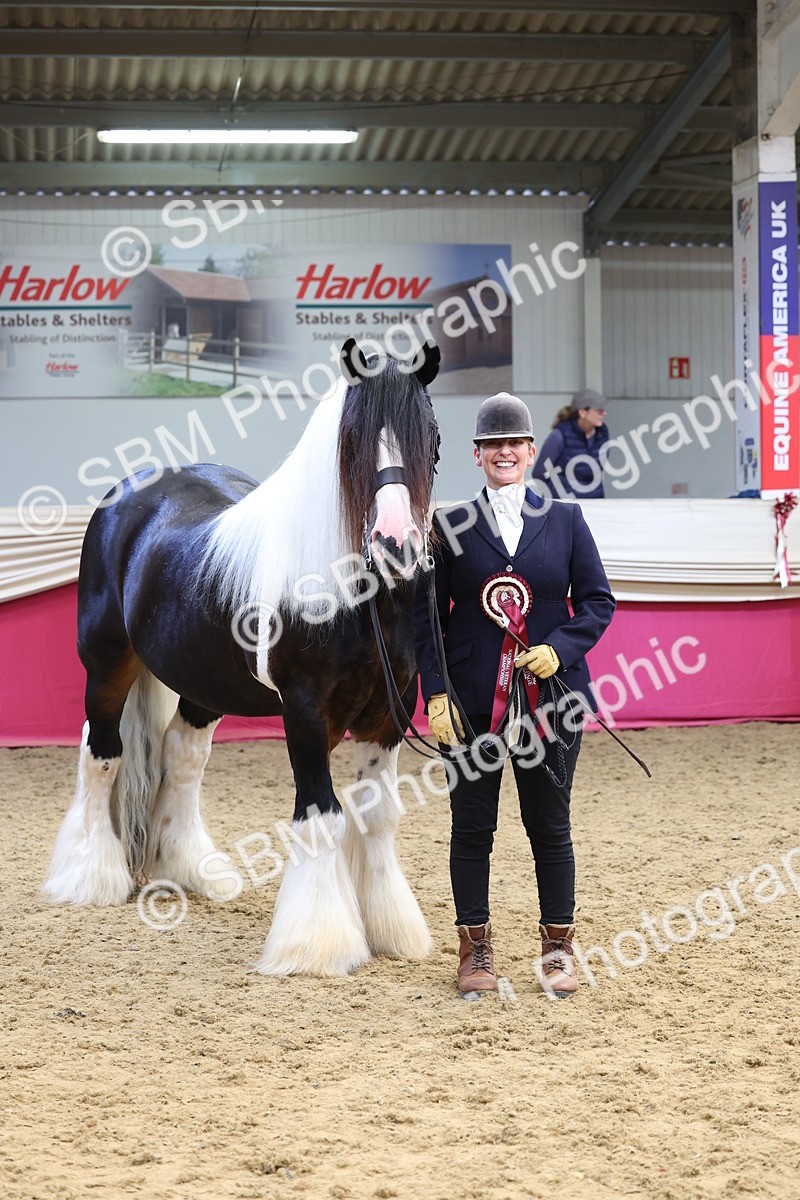 SBM_22929 - Class 903 - Supreme Final - IH Pre Vet