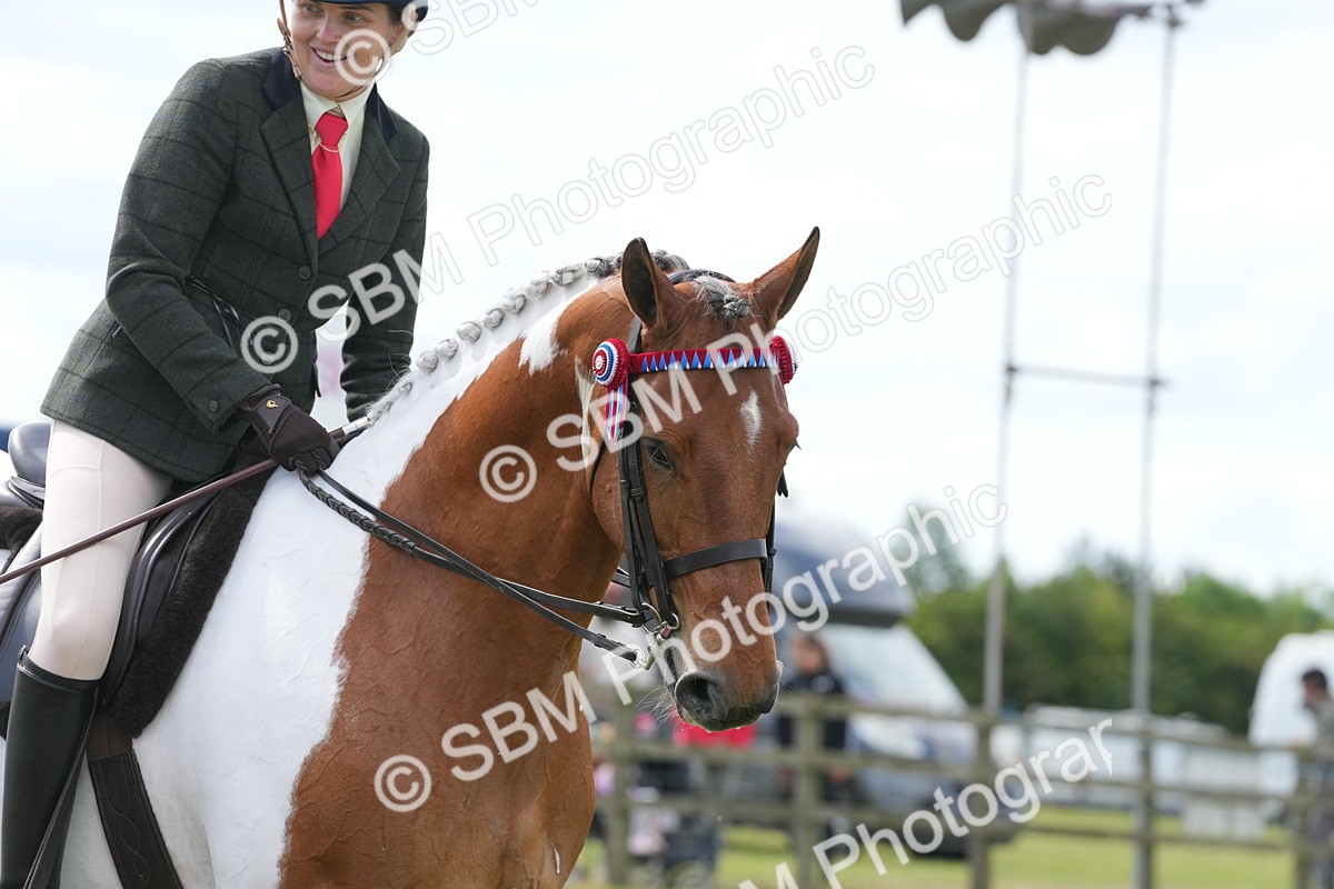 SBM_17591 - Class 107-108 - LIHS BSPS Performance Coloured Horse Pony